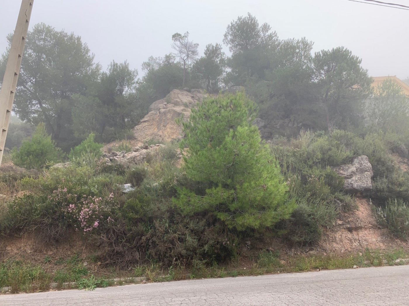 Solar – La Pobla de Claramunt (LES GARRIGUES)