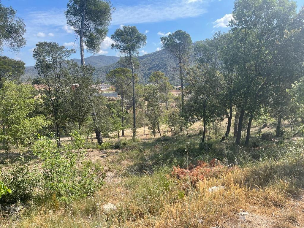 TERRENO EN CA L´ANTON – 1 TERRENO EN CA L´ANTON