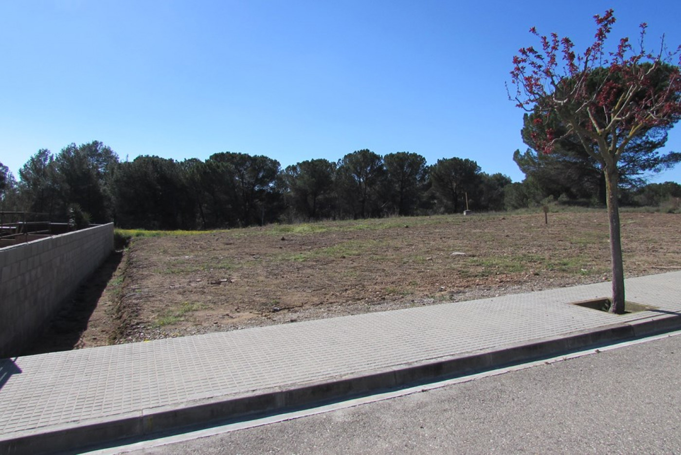 LA TORRE DE CLARAMUNT – FONT DEL CAMARÓ