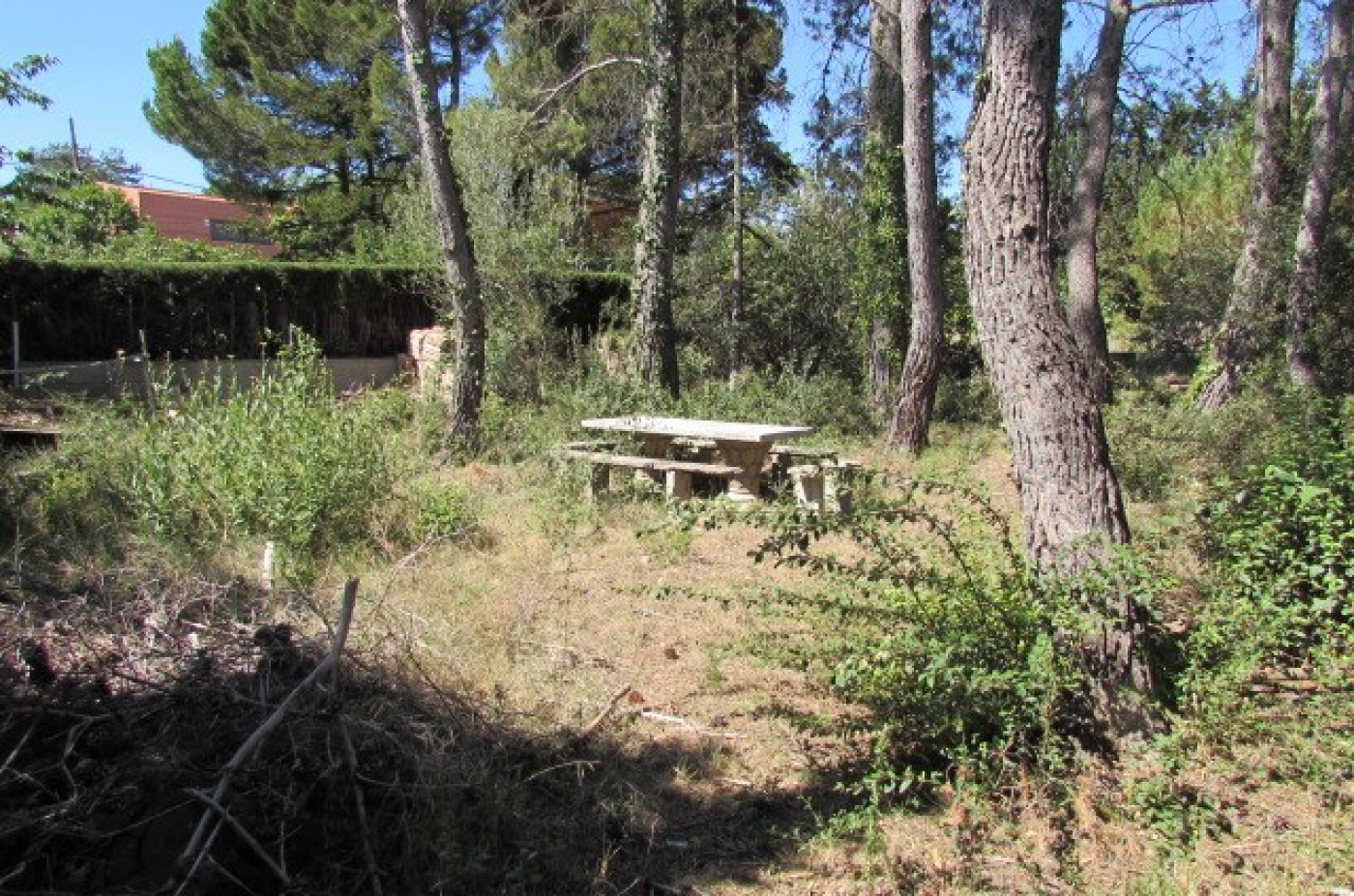 Solar – La Pobla de Claramunt (EL XARÓ) – 1 MAGNÍFICO TERRENO EN EL XARÓ