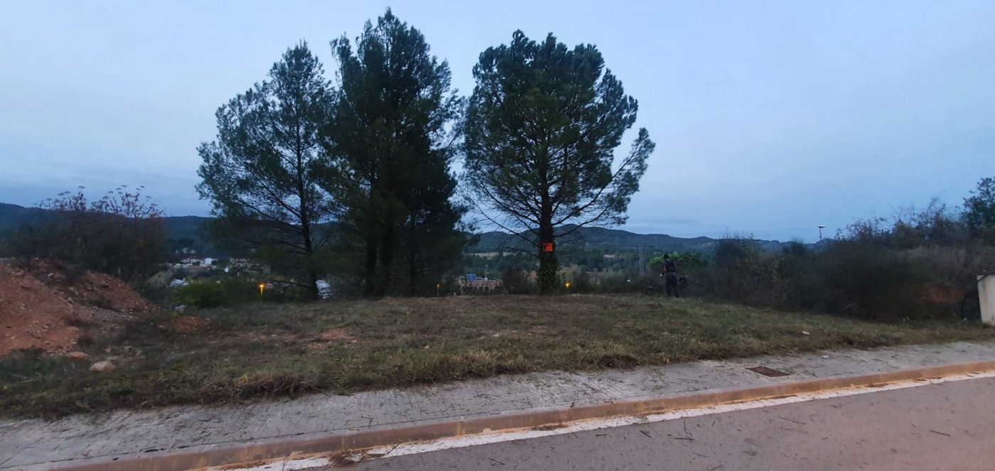 TERRENY URBANITZABLE A CARME
