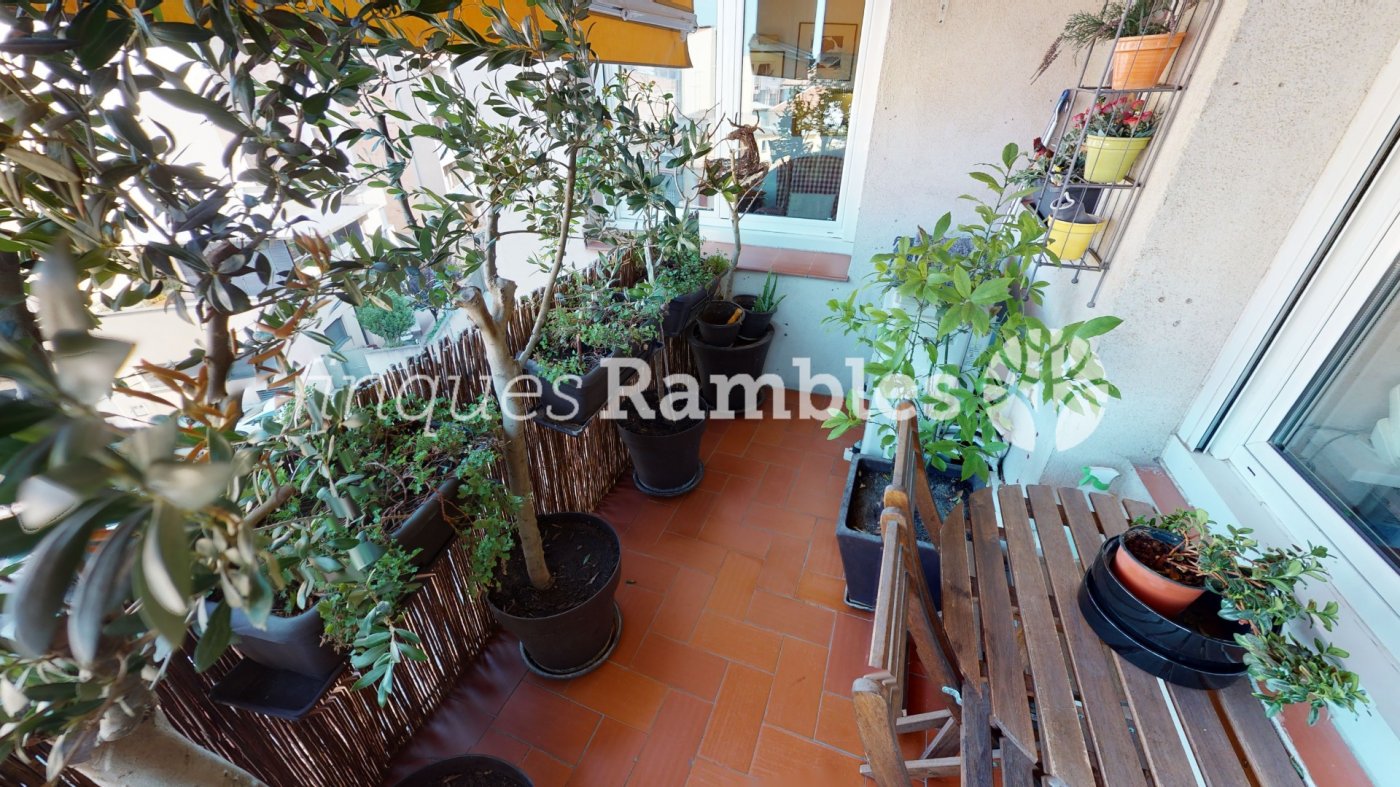 PIS REFORMAT ZONA POBLE SEC – 8