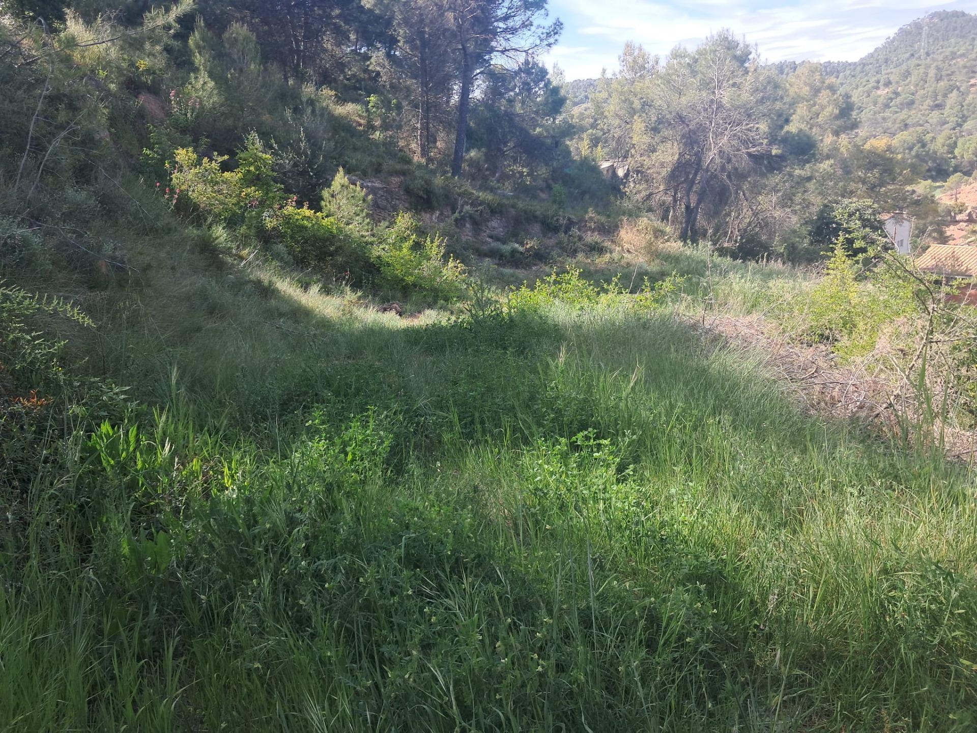 EL TEU SOLAR, ELS TEUS METRES, LA TEVA ZONA A LA POBLA DE CLARAMUNT A LES GARRIGUES