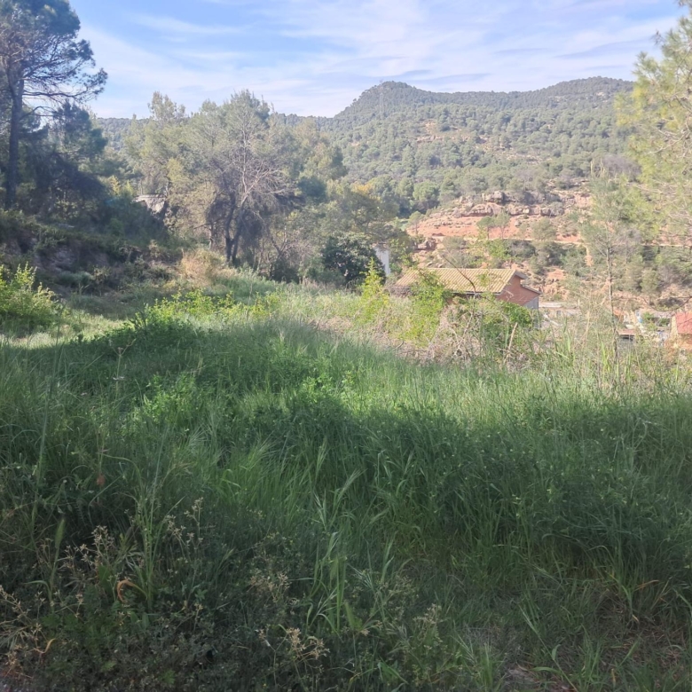 EL TEU SOLAR, ELS TEUS METRES, LA TEVA ZONA A LA POBLA DE CLARAMUNT A LES GARRIGUES