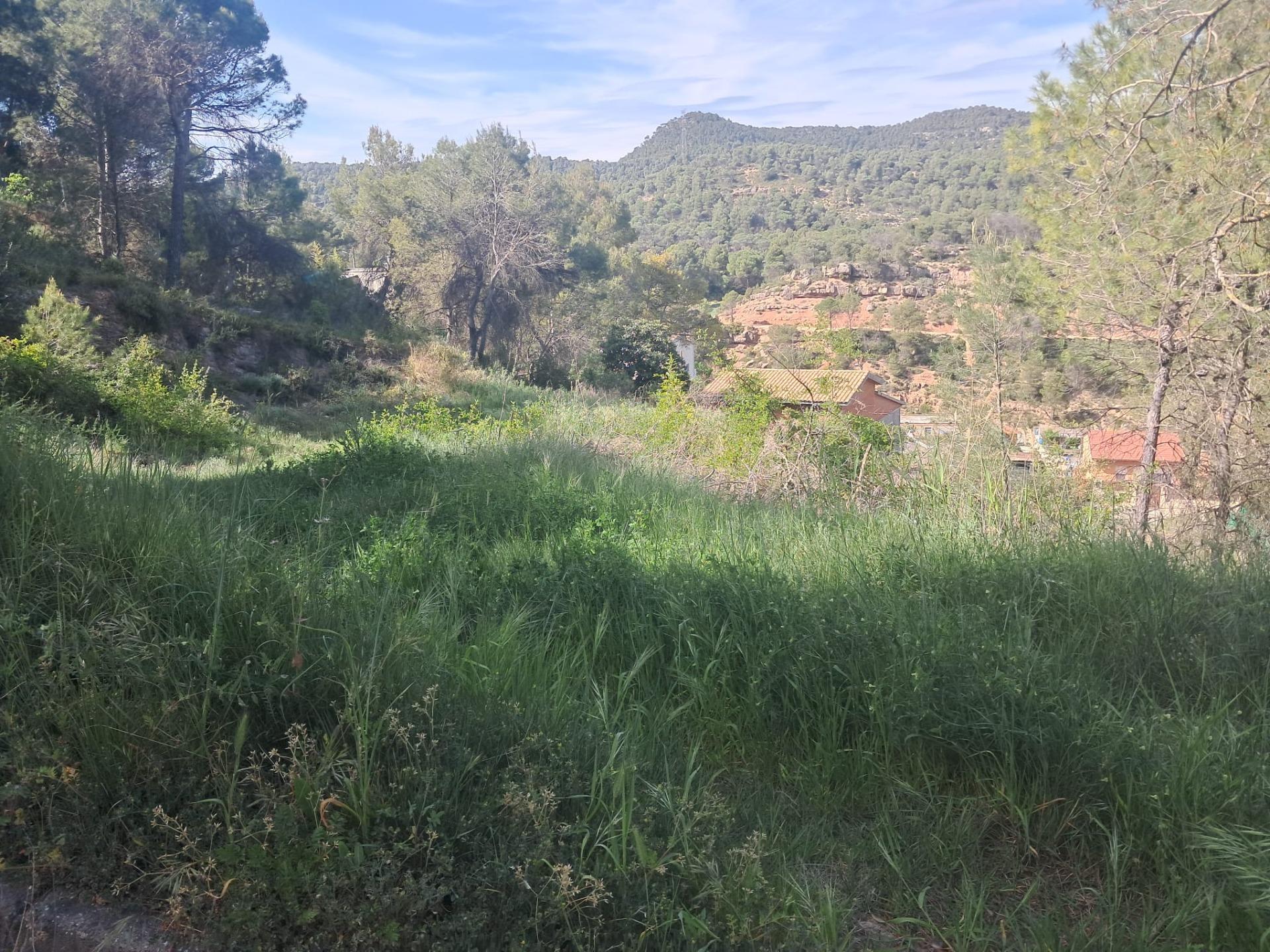 EL TEU SOLAR, ELS TEUS METRES, LA TEVA ZONA A LA POBLA DE CLARAMUNT A LES GARRIGUES