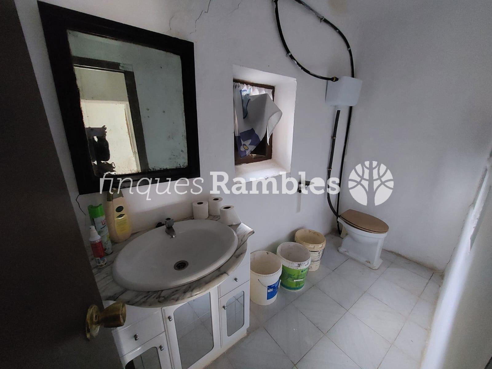 🌳 ¡Descobreix el teu refugi a la natura! 🌳