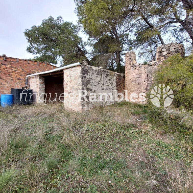 🌳 ¡Descobreix el teu refugi a la natura! 🌳
