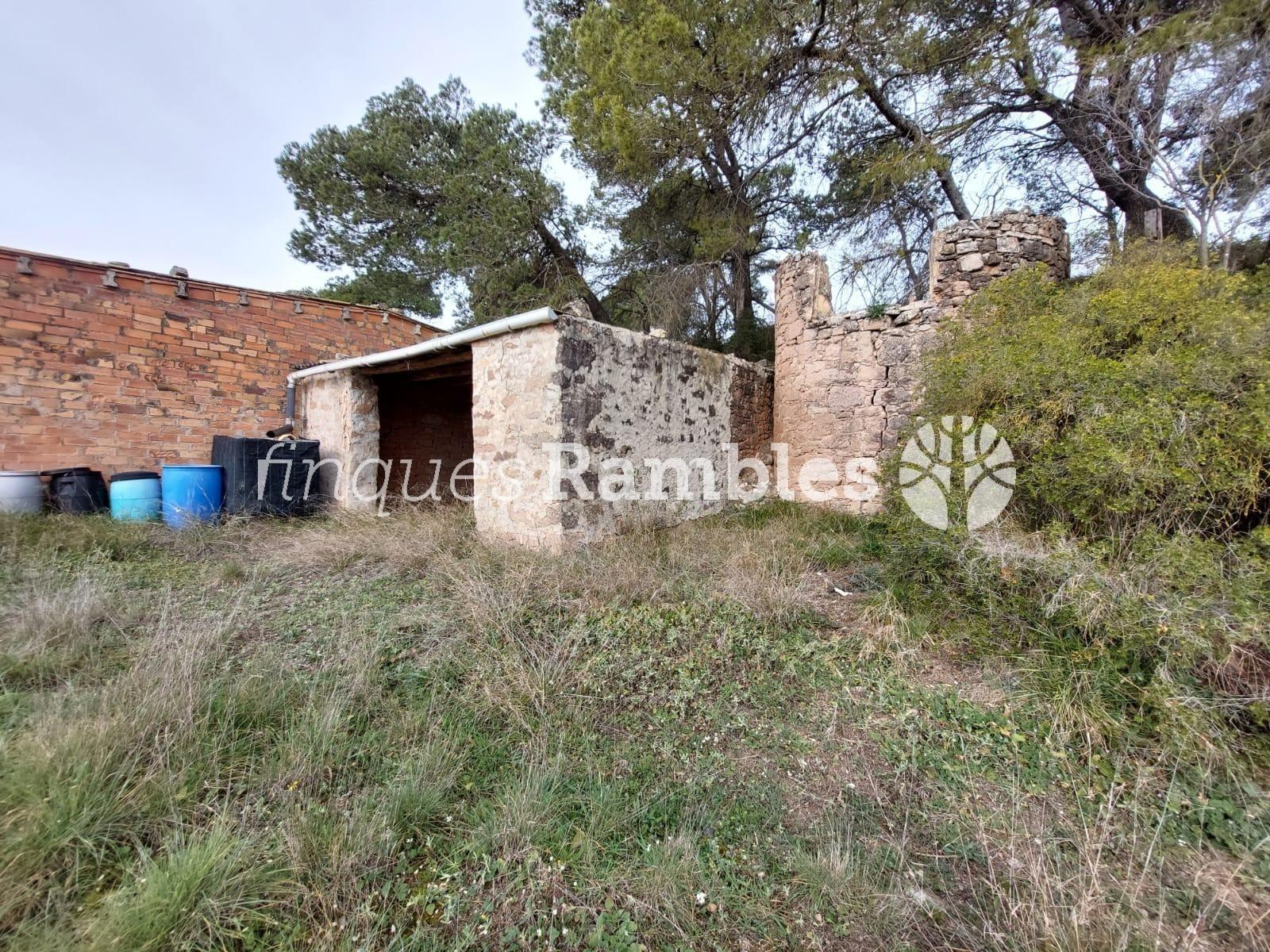 🌳 ¡Descobreix el teu refugi a la natura! 🌳