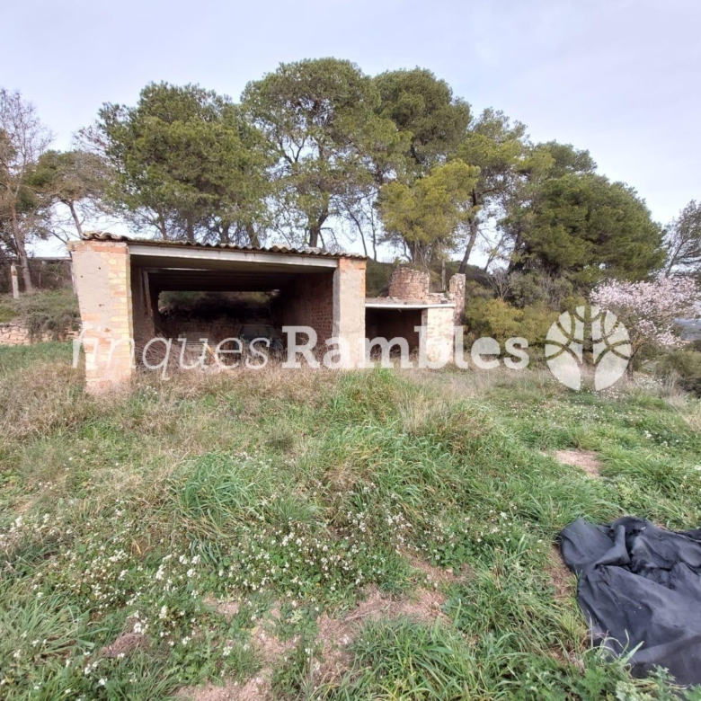 🌳 ¡Descobreix el teu refugi a la natura! 🌳