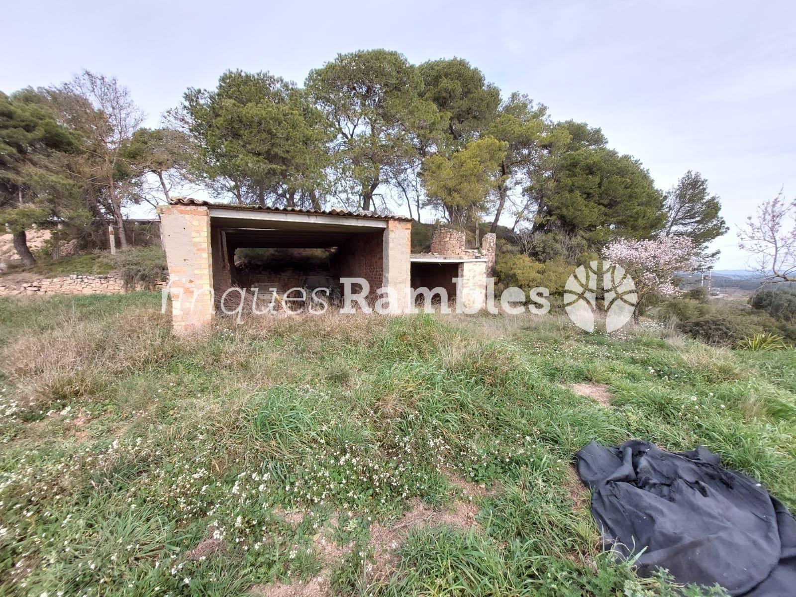 🌳 ¡Descobreix el teu refugi a la natura! 🌳