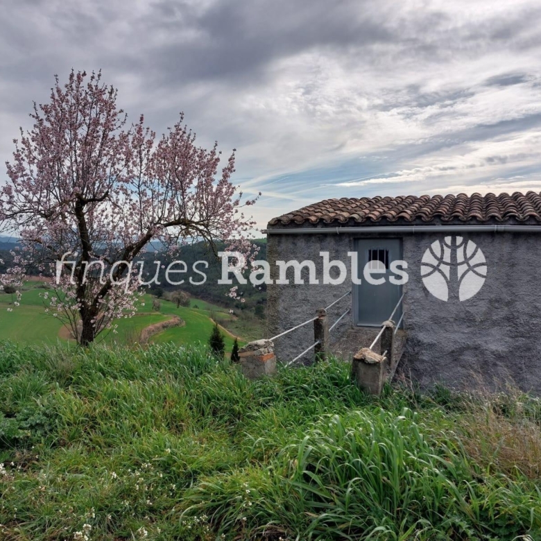 🌳 ¡Descobreix el teu refugi a la natura! 🌳