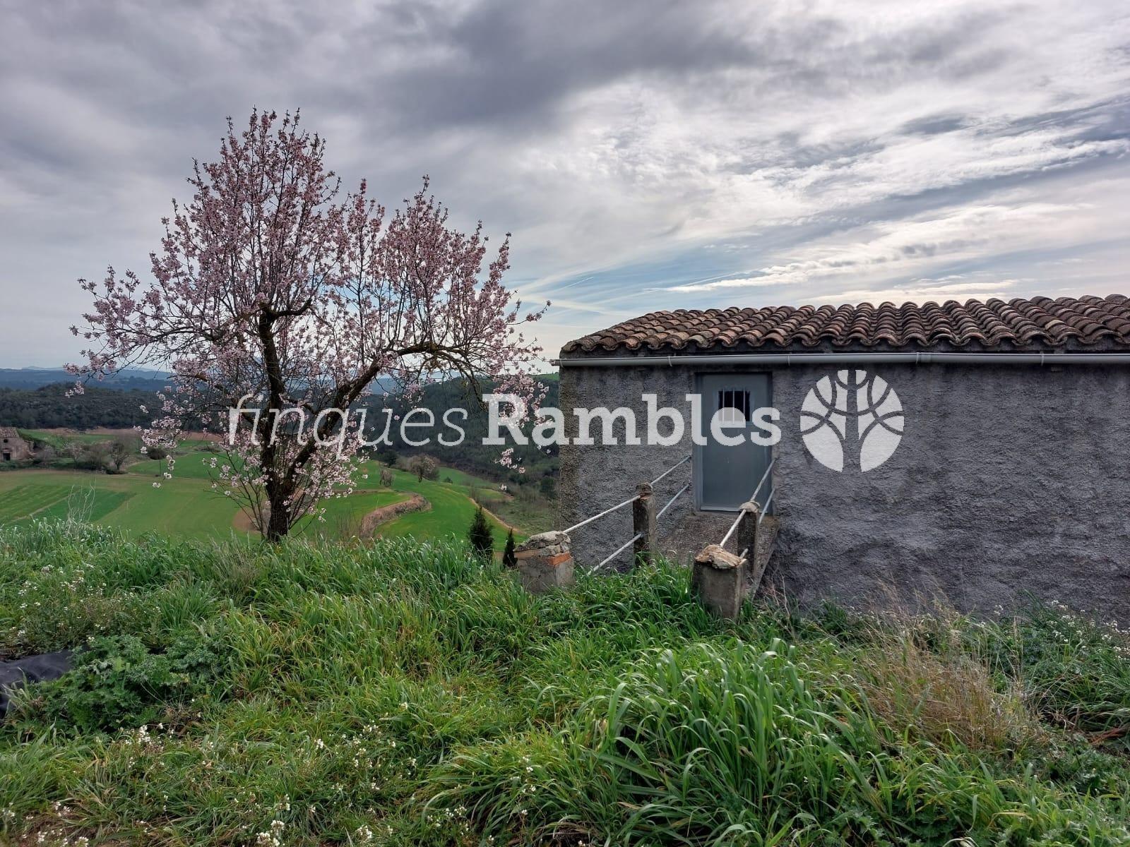 🌳 ¡Descobreix el teu refugi a la natura! 🌳
