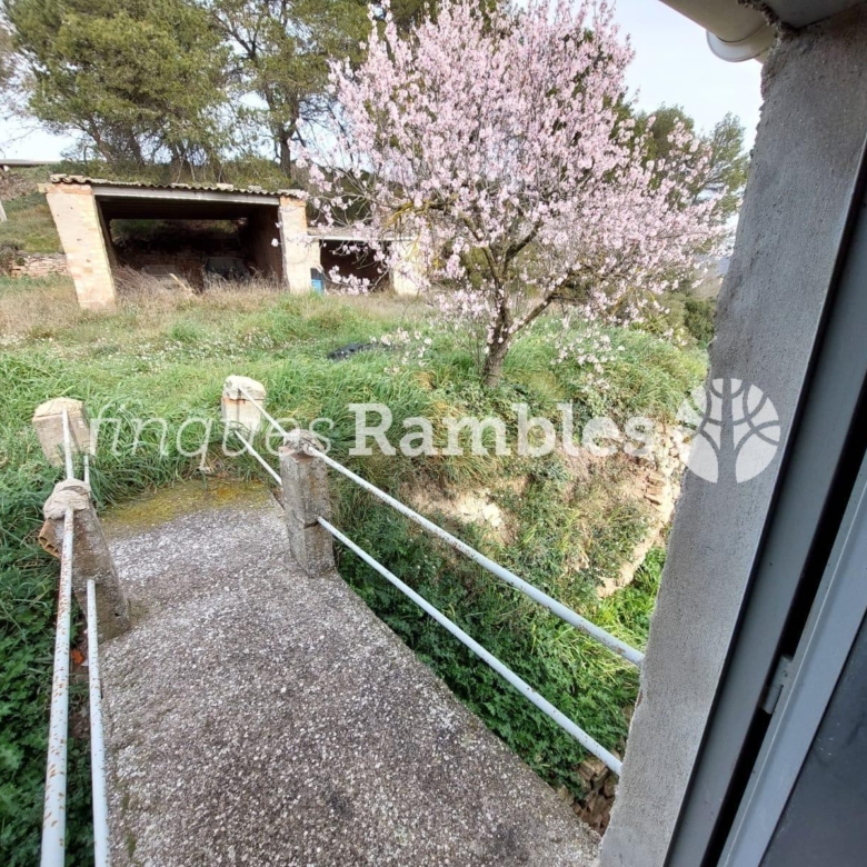 🌳 ¡Descobreix el teu refugi a la natura! 🌳
