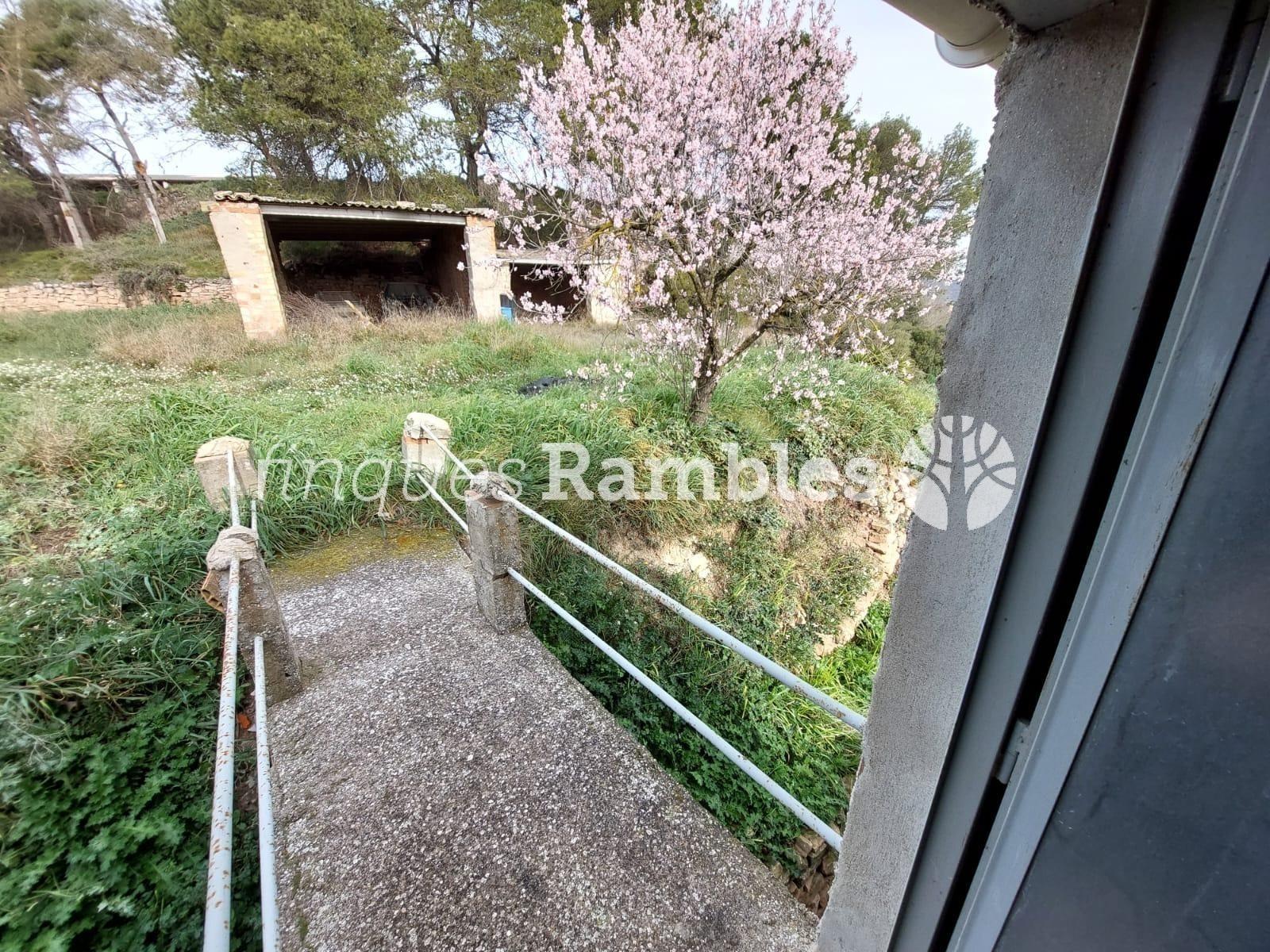 🌳 ¡Descobreix el teu refugi a la natura! 🌳