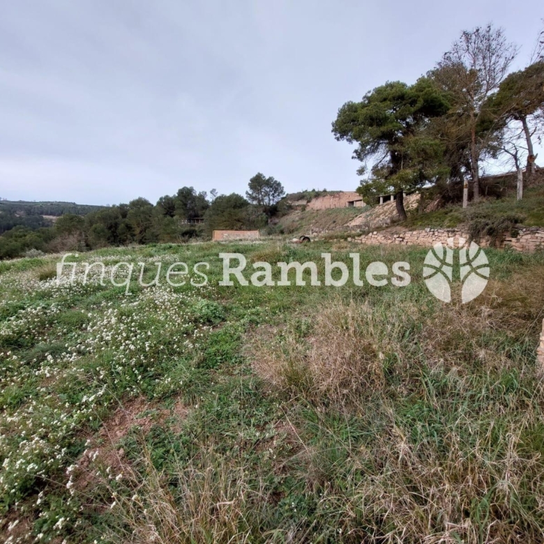 🌳 ¡Descobreix el teu refugi a la natura! 🌳