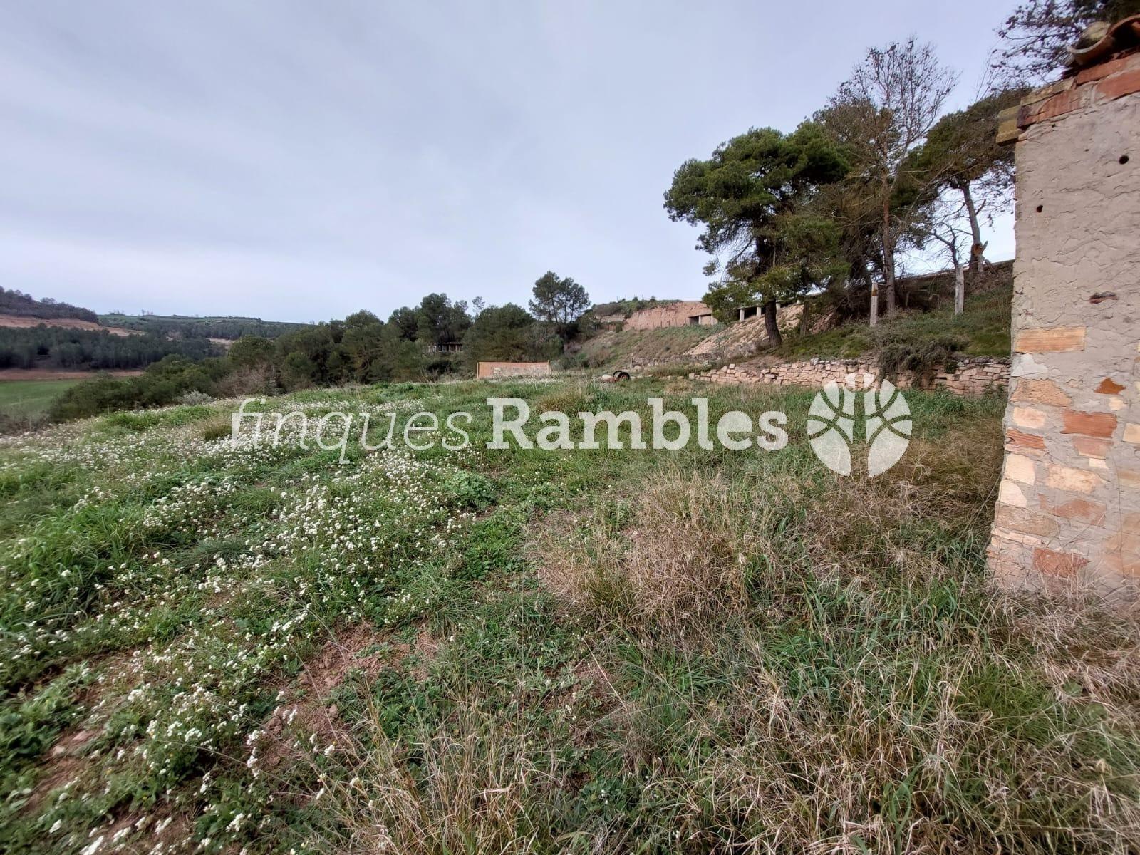 🌳 ¡Descobreix el teu refugi a la natura! 🌳