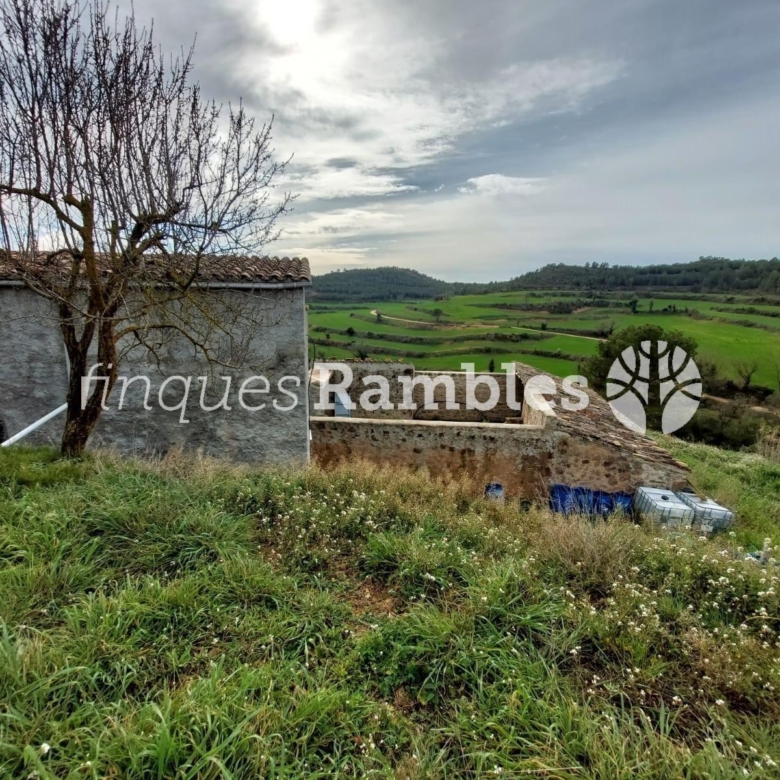 🌳 ¡Descobreix el teu refugi a la natura! 🌳