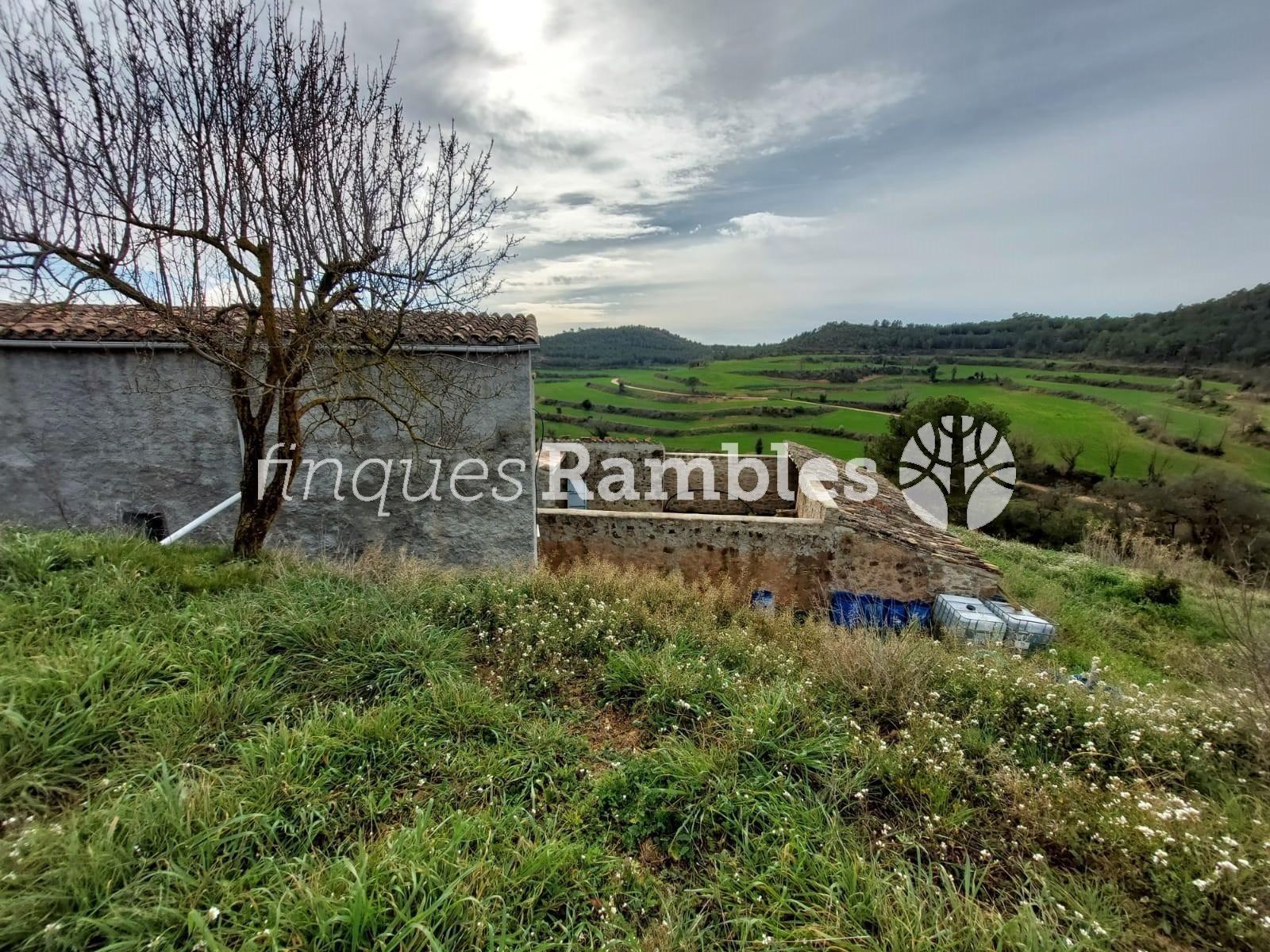 🌳 ¡Descobreix el teu refugi a la natura! 🌳