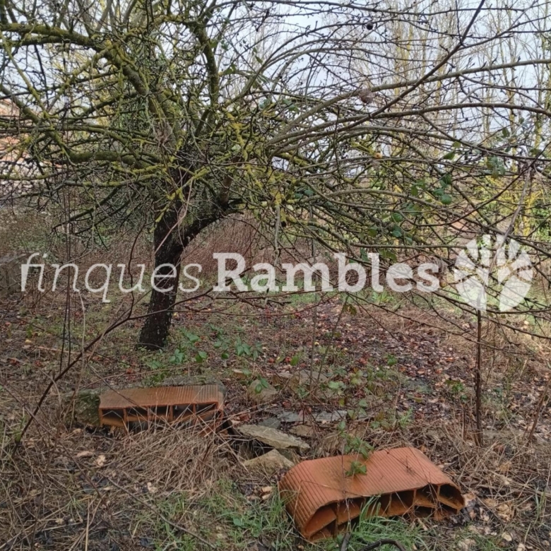 ENCANTADORA CASA REFORMADA A BIURE DE GAIÀ (LES PILES), ENVOLTADA DE NATURA