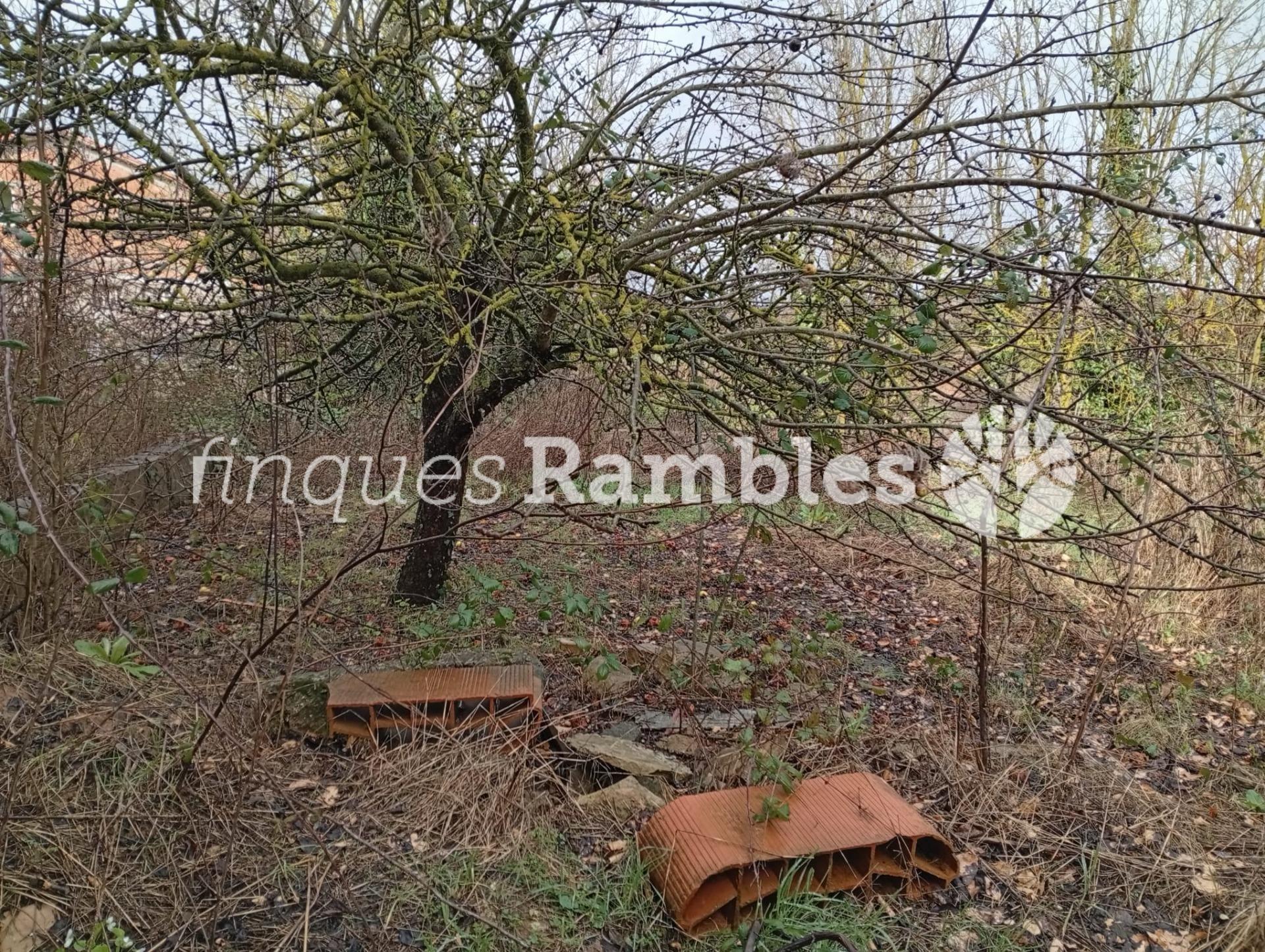 ENCANTADORA CASA REFORMADA A BIURE DE GAIÀ (LES PILES), ENVOLTADA DE NATURA – 24 ENCANTADORA CASA REFORMADA A BIURE DE GAIÀ (LES PILES), ENVOLTADA DE NATURA