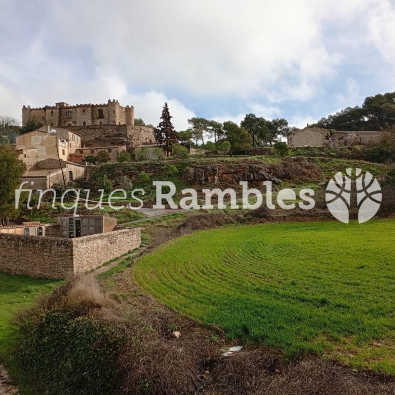 ENCANTADORA CASA REFORMADA A BIURE DE GAIÀ (LES PILES), ENVOLTADA DE NATURA